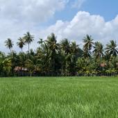 পরিবেশ বিষয়ক অনুষ্ঠান